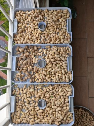 이갑덕님의 자유주제 · 자유게시판 작성글 사진