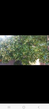 팜모닝 자유주제·사진전 게시글 이미지