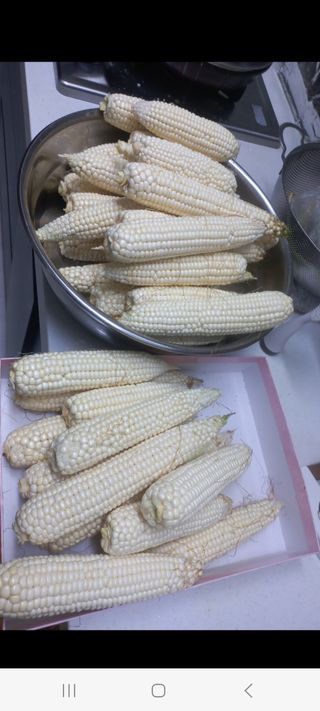 이승욱님의 자유주제 · 사진전 작성글 사진