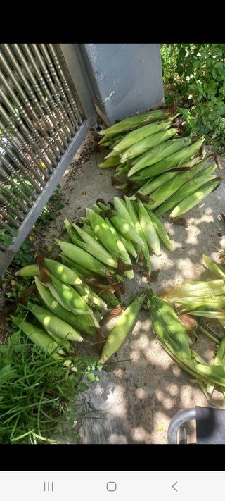 이승욱님의 자유주제 · 사진전 작성글 사진