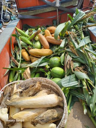 이천산수유3대농부님의 자유주제 · 자유게시판 작성글 사진