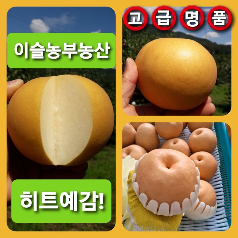 장터 상품 [시원아삭 원황햇배(15kg)] 썸네일