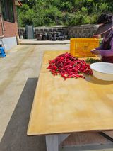 팜모닝 자유주제·자유게시판 게시글 이미지