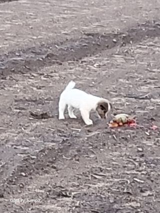 이천산수유3대농부님의 자유주제 · 자유게시판 작성글 사진