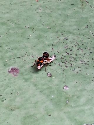 남 샘결 개둥맘님의 자유주제 · 자유게시판 작성글 사진