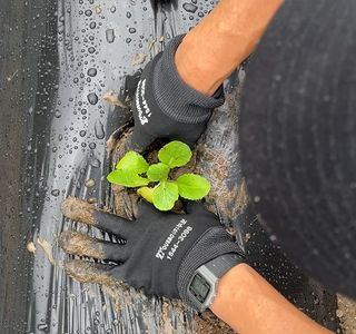 누보농장님의 자유주제 · 자유게시판 작성글 사진