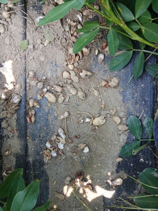 이갑덕님의 자유주제 · 자유게시판 작성글 사진