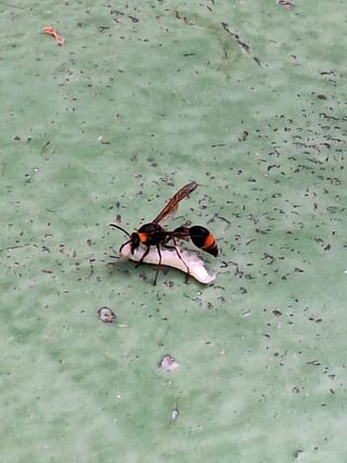 남 샘결 개둥맘님의 자유주제 · 자유게시판 작성글 사진