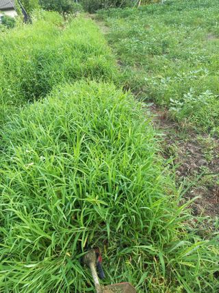 표고버섯18837님의 자유주제 · 자유게시판 작성글 사진