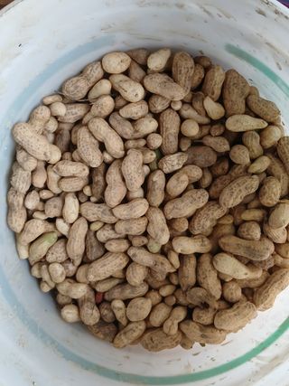 이갑덕님의 자유주제 · 자유게시판 작성글 사진