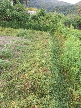 표고버섯18837님의 자유주제 · 자유게시판 작성글 사진