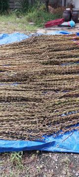 팜모닝 자유주제·자유게시판 게시글 이미지