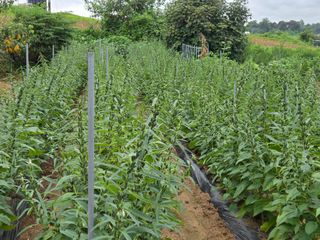 이석팔님의 자유주제 · 자유게시판 작성글 사진