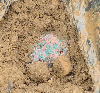 누보농장님의 자유주제 · 자유게시판 작성글 사진