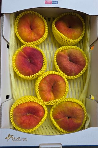 경북 영천 제우스님의 자유주제 · 자유게시판 작성글 사진