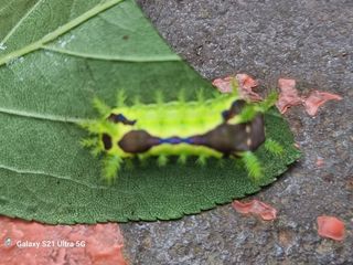 이천산수유3대농부님의 자유주제 · 자유게시판 작성글 사진