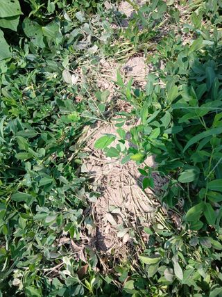 이갑덕님의 자유주제 · 자유게시판 작성글 사진