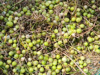 이창신님의 자유주제 · 자유게시판 작성글 사진