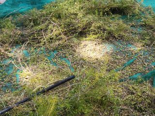 이창신님의 자유주제 · 자유게시판 작성글 사진