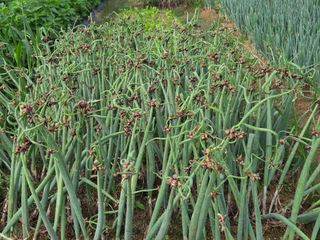 이석팔님의 자유주제 · 자유게시판 작성글 사진