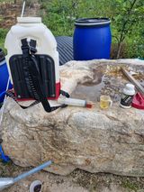 팜모닝 자유주제·자유게시판 게시글 이미지