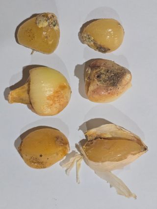 김명호님의 자유주제 · 자유게시판 작성글 사진