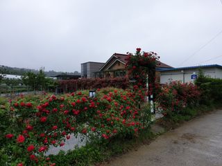 신득경님의 작성글 사진