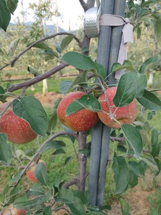 숲속의사나이님의 자유주제 · 자유게시판 작성글 사진