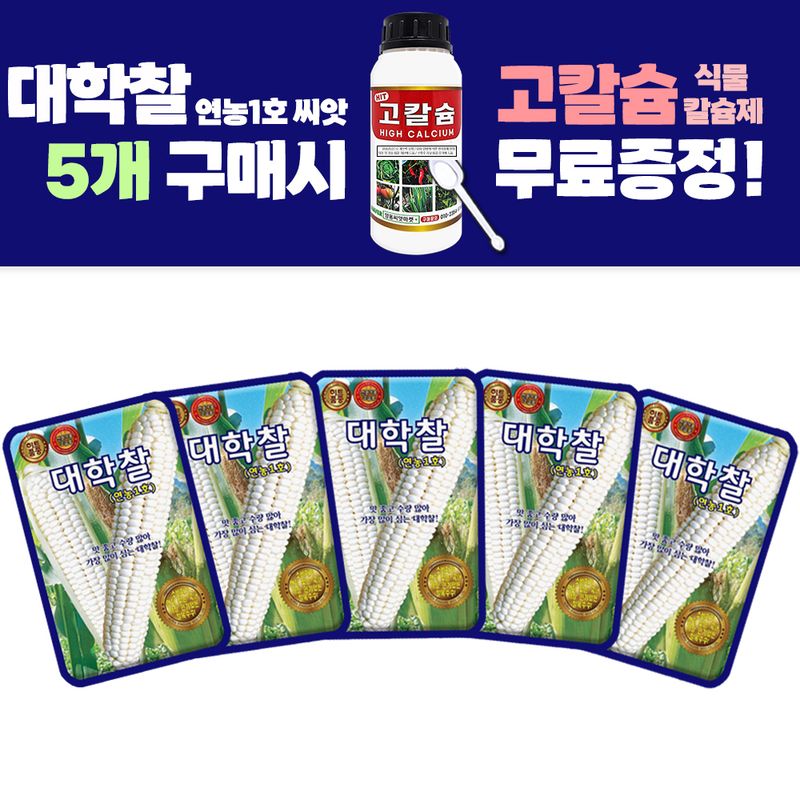 장터 상품 [대학찰 옥수수 씨앗 70립 연농1호 옥수수씨 종자 5개 + 고칼슘 500ml 식물칼슘제 1개 증정] 썸네일