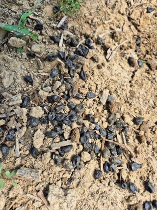 김상진님의 자유주제 · 자유게시판 작성글 사진