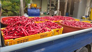 변영수 님의 자유주제 · 자유게시판 작성글 사진