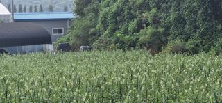 송석래님의 자유주제 · 자유게시판 작성글 사진