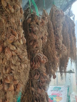 김옥자님의 자유주제 · 자유게시판 작성글 사진