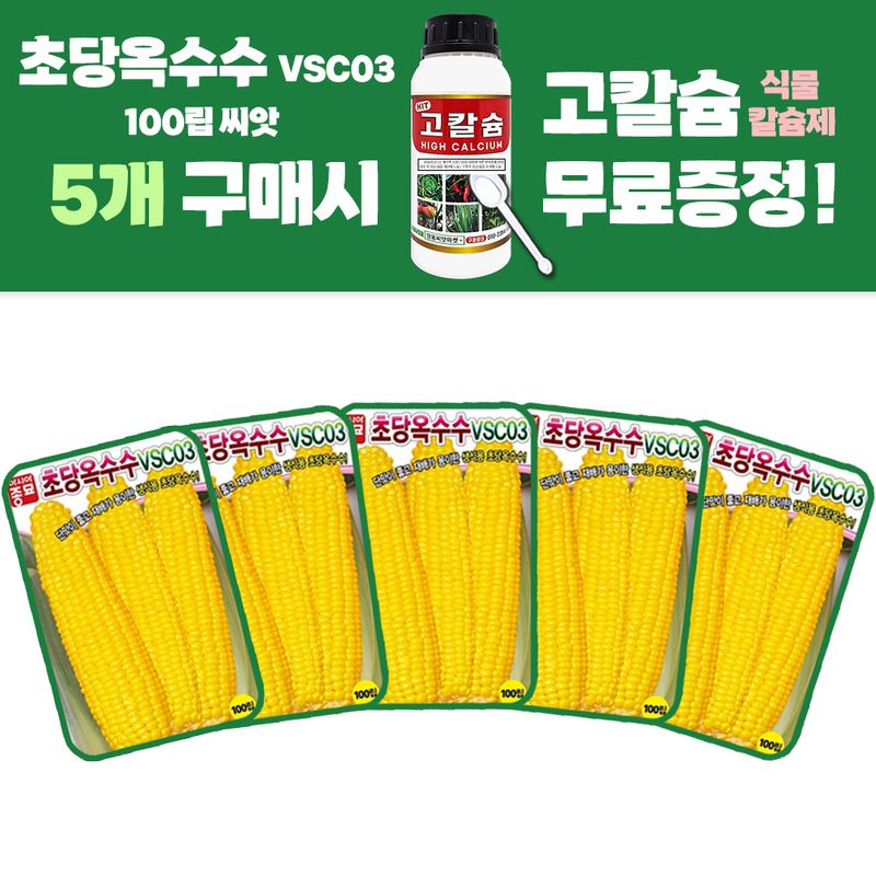 장터 상품 [초당옥수수 씨앗 100립 VSC03 생식용 옥수수씨 종자 5개 + 고칼슘 500ml 식물칼슘제 1개 증정] 썸네일