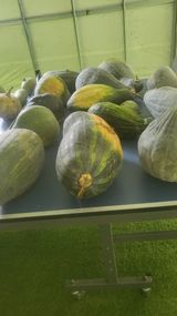 팜모닝 농사, 무엇이든 물어보세요!·참여글 게시글 이미지