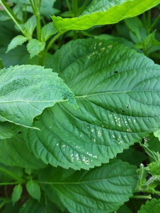 윤무섭님의 자유주제 · 자유게시판 작성글 사진