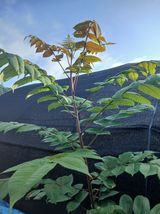 팜모닝 자유주제·자유게시판 게시글 이미지