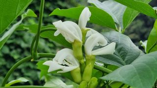 아침농원님의 자유주제 · 자유게시판 작성글 사진