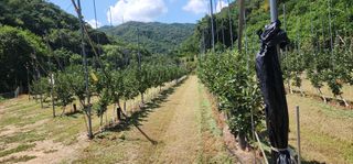 전길용님의 작성글 사진