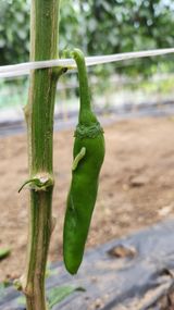 팜모닝 자유주제·자유게시판 게시글 이미지