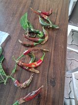 팜모닝 자유주제·자유게시판 게시글 이미지