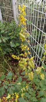 팜모닝 자유주제·자유게시판 게시글 이미지