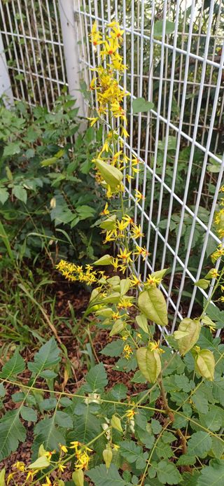 남궁봉님의 자유주제 · 자유게시판 작성글 사진