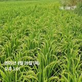 팜모닝 자유주제·자유게시판 게시글 이미지