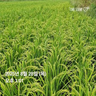 송석래님의 자유주제 · 자유게시판 작성글 사진