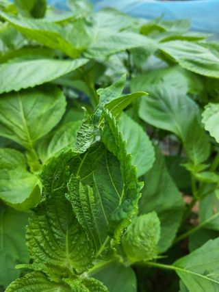 윤무섭님의 자유주제 · 자유게시판 작성글 사진