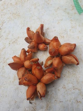 김옥자님의 자유주제 · 자유게시판 작성글 사진