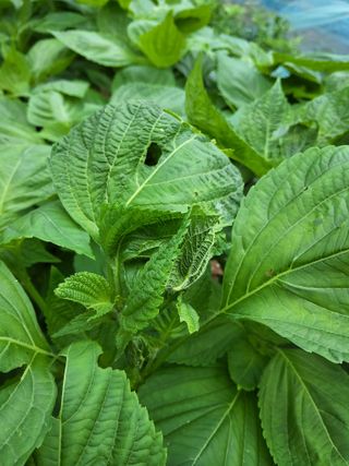 윤무섭님의 자유주제 · 자유게시판 작성글 사진