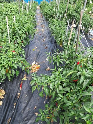 전희분님의 자유주제 · 자유게시판 작성글 사진