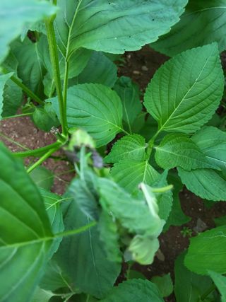 윤무섭님의 자유주제 · 자유게시판 작성글 사진